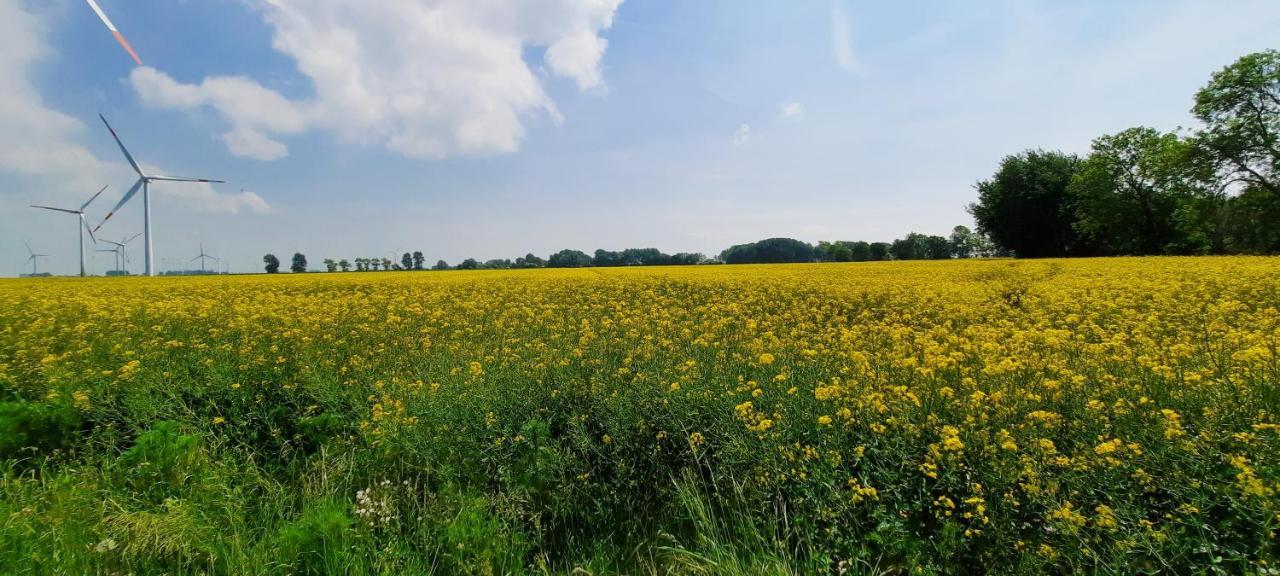Ferienwohnung Goden-Wind Westerdeichstrich Exteriör bild
